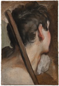 Cabeça de um pastor, estudo para A circuncisão de Federico Barocci