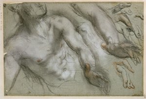 Estudo para a figura do santo no quadro «Martírio de São Vital» de Federico Barocci