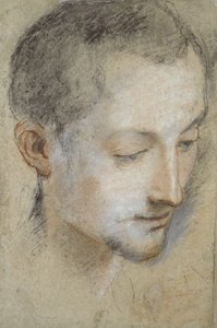 Estudo da cabeça de um jovem (giz preto, vermelho e rosa em papel acinzentado) de Federico Barocci