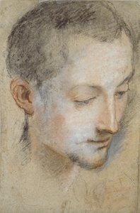 Floresta. de Federico Barocci