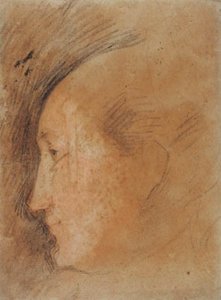 Cabeça de mulher de perfil à esquerda de Federico Barocci