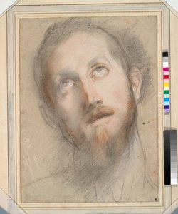 Estudo para a Cabeça de Cristo (giz colorido e pastel sobre papel) de Federico Fiori Barocci or Baroccio