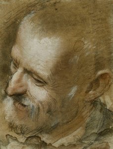 Estudo da cabeça de um homem barbudo virado para a esquerda, 1590 de Federico Fiori Barocci or Baroccio