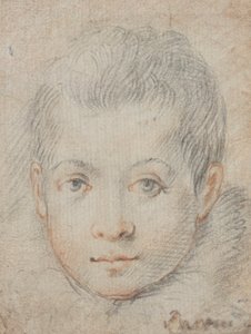 Chefe de um menino de Federico Zuccaro
