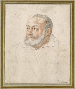 Retrato de um homem (giz vermelho e preto no papel) de Federico Zuccaro