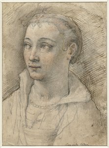 Retrato de mulher desconhecida de Federico Zuccaro