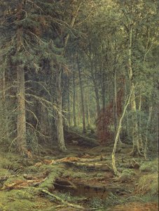 Pântano na floresta, outono, 1872