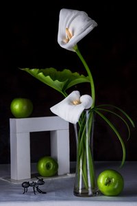 Lírios-calla e maçãs verdes de Felice Angelino