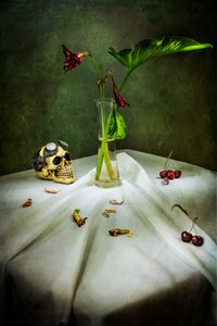 Crânio gótico Vanitas de Felice Angelino