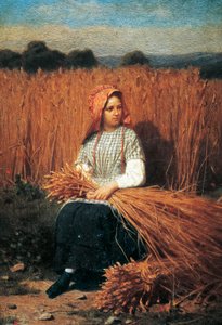 Gleaner de Felice Barucco