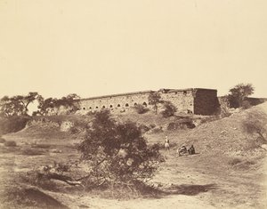 Metcalfe Stables Picquet de Felice Beato