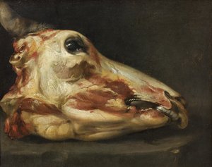 Cabeça esfolada de um boi de Felice Boselli