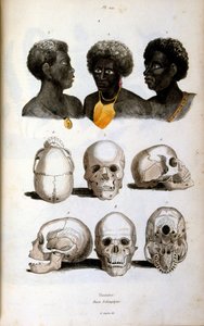Ilustração antropológica que representa a raça etíope de Felix-Edouard Guerin