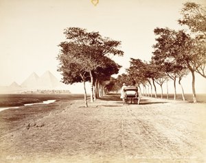 Cairo, avenida das Pirâmides #98