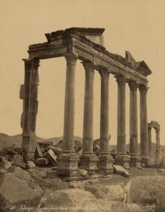 Colonnade e Restos do Templo em Palmyra, Síria de Félix Bonfils