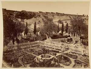 Jardim do Getsémani de Félix Bonfils