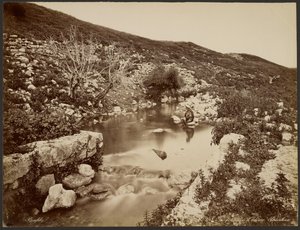 A fonte de Eliseu, Palestina de Félix Bonfils