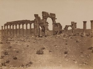 Palmira: vista geral do Arco do Triunfo e da colunata de Félix Bonfils