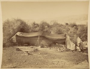 Tenda de beduínos nómadas, Palestina de Félix Bonfils