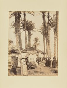 Aldeia árabe às margens do Nilo de Félix Bonfils