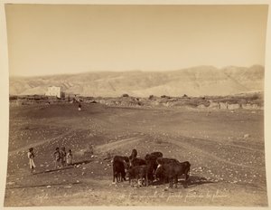 Vista geral de Jericó, tirada da planície de Félix Bonfils
