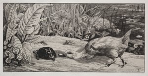 Um desconhecido de Felix Bracquemond