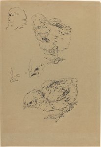 Garotas de Felix Bracquemond