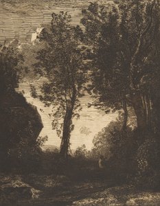 Floresta. de Felix Bracquemond