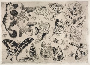 Serviço de Jantar Serviço Rousseau: Borboletas e Peixes no. 16, 1866. de Felix Bracquemond