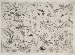 Serviço de Jantar Serviço Rousseau: Flores e Insetos no. 15, 1866. de Felix Bracquemond