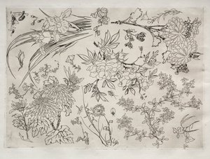 Serviço de Jantar Serviço Rousseau: Flores no. 23, 1866. de Felix Bracquemond