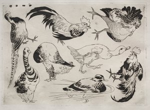 Serviço de Jantar Serviço Rousseau: Galos, patos, etc. não. 13, 1866. de Felix Bracquemond