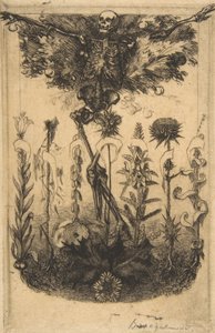 Floresta. de Felix Bracquemond