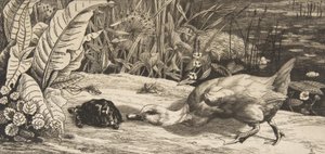 O Desconhecido, 1862. de Felix Bracquemond