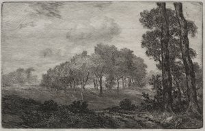Paisagem, depois do francês de Felix Bracquemond