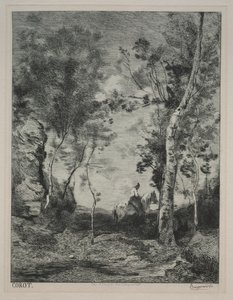 Paisagem, ou O Cavalo Branco, depois de Corot de Felix Bracquemond