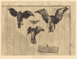 O topo de uma folha de porta (Pássaros pregados a uma porta de celeiro) de Felix Bracquemond