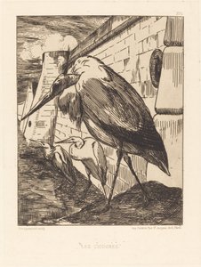 Les Cigognes (As Cegonhas) de Felix Bracquemond