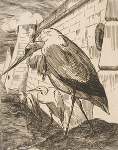 As cegonhas, década de 1870., década de 1870. de Felix Bracquemond