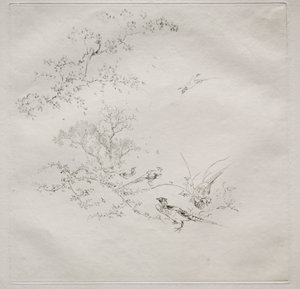 Serviço parisiense (serviço Haviland): Nevoeiro (nº 1) de Felix Bracquemond