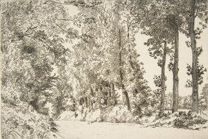 Rue des Bruyères, em Sèvres, 1868. de Felix Bracquemond