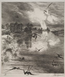 andorinhas de Felix Bracquemond