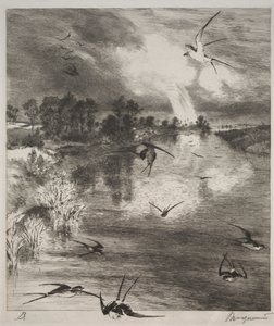 Andorinhas, 1882. de Felix Bracquemond