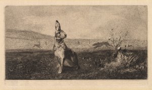 O Hare Le Lièvre, 1865.