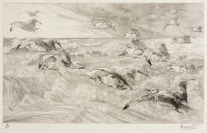 As gaivotas de Felix Bracquemond