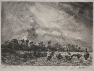 A nuvem de tempestade, 1878-1887. de Felix Bracquemond