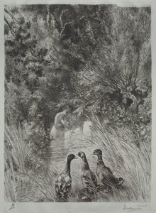 Os Patos Surpresos de Felix Bracquemond