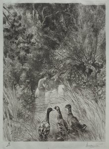 Os Patos Surpreendidos. de Felix Bracquemond