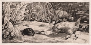 O desconhecido de Felix Bracquemond