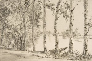 Álamos do Sena, ca. 1884. de Felix Bracquemond